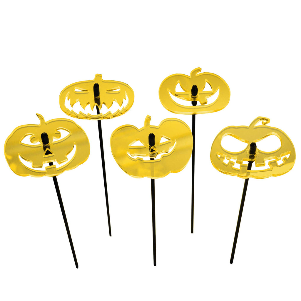 Piquets de jardin citrouilles d’automne – Lot de 5