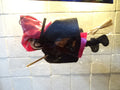 Winnie Witch Halloween Figurine – Seasonal Home Décor